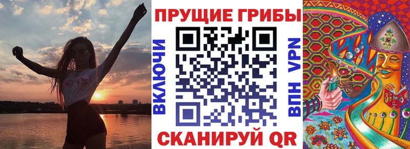 mega как зайти  Галич  Псилоцибиновые грибы ЛСД 